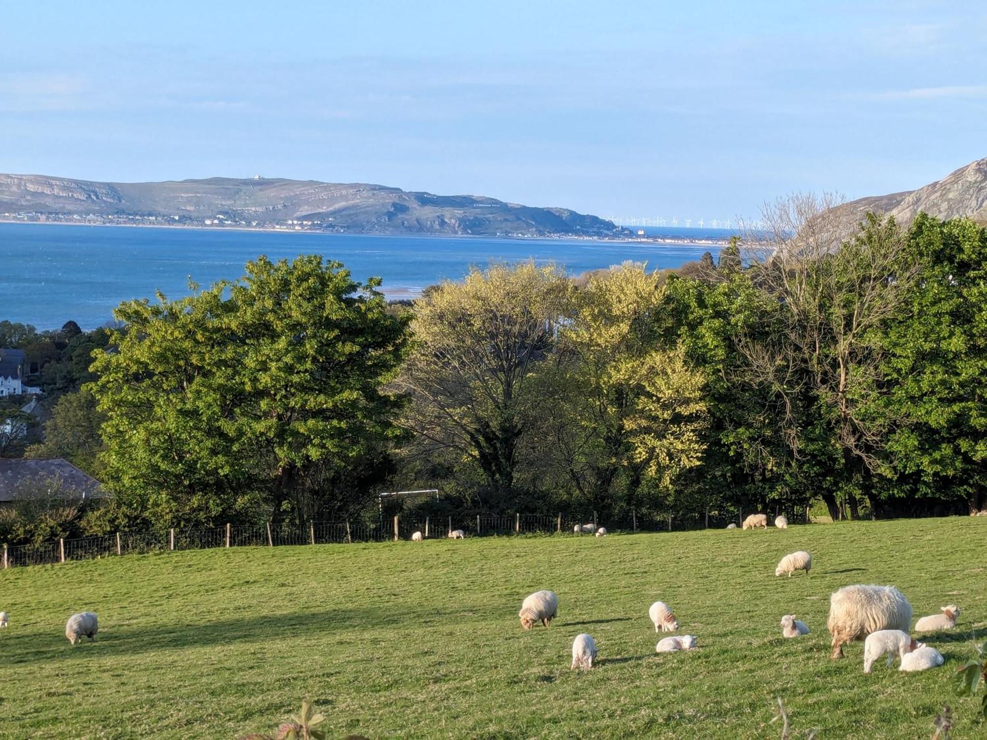Fantastic Sea Views At Century'S Old Alma'S Cottage - Sleeps Up To 8 Guests Penmaenmawr Luaran gambar